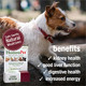 Homeopet Liver Rescue Safe And Natural Liver-Support Supplement For Cats Dogs And Other Small Animals 15 Milliliters