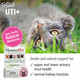 Homeopet Feline Uti Plus Safe And Natural Urinary Tract Supplement For Cats Feline Urinary Tract Support 15 Milliliters