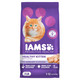 Iams Proactive Health Healthy Kitten Dry Cat Food With Chicken 16 Lb. Bag