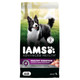 Iams Advanced Health Healthy Digestion Adult Dry Dog Food With Real Chicken 27 Lb. Bag