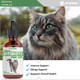 Ivitamins Cat Antibiotic For Infections Utis Respiratory Moments Cold & Allergies Antibiotics For Cats Of All Ages & Breeds Chicken Flavor 1 Fl Oz (1)