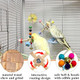 Jevnd 2Pcs Bird Spinner Toys For Parrots With Bells Natural Wood Parakeet Toys For Cage Bird Cage Accessories Chewing Hanging For Small And Medium Birds Cockatiel Conure Lovebird Budgie Quaker