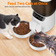 Katalic Automatic Cat Feeders For Two Cats 5L/20 Cups Double Automatic Cat Food Dispenser With 2 Stainless Bowls Timer Setting 20 Portions 6 Meals Per Day 10S Meal Call Pet Feeder For Dog (Black)