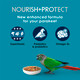 Kaytee Forti-Diet Pro Health Nourish+Protect Parakeet Food Comprehensive Nutrition Backed By Science Digestive Health Immune Support 2 Pounds