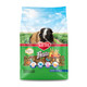Kaytee Fiesta Guinea Pig Food Nutritious And Fun Blend Supports Dental Health And Digestion 4.5 Pounds