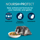 Kaytee Forti-Diet Pro Health Nourish+Protect Hamster And Gerbil Food Comprehensive Nutrition Backed By Science Digestive Health Immune Support 3 Pounds