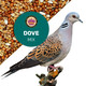 Leach Grain & Milling Co. Dove Mix 5 Lbs Dove Food Premium Dove Bird Seed Nut Mix Feed For Dove Nutrient-Rich Mixed Birdseeds Supports Daily Energy Growth & Healthy Balanced Diet Bird Seed For Outside Feeders