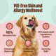Licks Pill Licks - Skin & Allergy For Dogs - Liquipaks - 10 Use