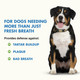 Liquid-Vet Advanced Teeth & Gums Supplements For Dogs Dental Care For Dogs Oral Mouth Care Tartar + Plaque + Gingivitis