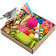 Loperdeve Natural Bird Toy Foraging Parrot Shredding Toys Box Conure Chewing Toys For Cockatiel Lovebird Parakeet Budgie Small-Medium Birds (Nature Color)