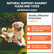 Maxbuddy Flea And Tick Oral Prevention Support & Treatment For Dogs And Cats Ãƒ¢Ã‚Š¬Ã‚‚¬Å’ Natural Flea Control With Multivitamin - Supplement Drops For Small And Large Dogs Ãƒ¢Ã‚Š¬Ã‚‚¬Å’ Made In The Usa