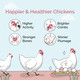 Mile Four Mile Four Organic Chicken Feed Ãƒ¢Ã‚Š¬Ã‚‚¬Å’ Layer Whole Grain Non-Gmo Usa Grown 16% Protein Corn- Soy- Non-Medicated Feed For Chickens 2 Lb Sample