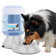 Natikon Automatic Pet Waterer Dispenser With Bpa- Design Ãƒ¢Ã‚Š¬Ã‚‚¬Å’ 1 Gallon Capacity Convenient Waterer Solution Ideal For Dogs And Cats Small And Large Pets