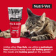 Nutri-Vet Hip & Joint Paw Gel Cat Supplement With Glucosamine Msm Chondroitin Pain Relief And Hip Support Salmon Flavor Easy Cat Care Essential Pet Supply 3 Oz