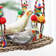 Oooct Large Bird Swing Toys Colorful Parrot Seagrass Mat Hammock With Blocks Bird Foraging Toy Bird Cage Accessories Suitable For Small To Medium Birds Parakeets Lovebirds Cockatiels 15.7 Ãƒæ’Ã¢‚¬ 11.8 Inches