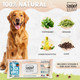 Pawadise Dog Co. Shoo Flea & Tick Wipes For Dogs Convenient Easy On-The-Go Protection Plant Based Natural Oils Chemical Repels & Prevents 50 Xl Wipes (Citrus Burst)