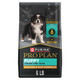 Purina Pro Plan High Protein Dry Puppy Food Chicken And Rice Formula - 6 Lb. Bag