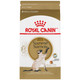 Royal Canin Feline Breed Nutrition Siamese Adult Dry Cat Food 6 Lb Bag