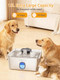 Sibays 4Gal/15L Large Dog Water Fountain Stainless Steel Pet Fountain With Water Window & Led Light Ultra Quiet Automatic Dog Water Bowl Dispenser For Large Dogs & Multi-Pet Easy To Clean Fs76