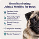 Summit Animal Health Canine Joint And Mobility Supplement For Medium Dogs All Natural Liquid Chondroitin Liposomal Delivery For Arthritis Hip & Joint Support Vitamin (Dogs 25-75Lbs)