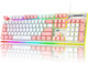 Camiysn Gaming Keyboard, Wired Keyboard with RGB Backlit, Full Size Keyboard with White&Pink Mixed Color Keycaps, Keyboard with 26 Keys Anti-ghosting for Computer/PC/Laptop/Mac/Windows/Office Camiysn Gaming Keyboard, Wired Keyboard with RGB Backlit, Full Size Keyboard with White&Pink Mixed Color Keycaps, Keyboard with 26 Keys Anti-ghosting for Computer/PC/Laptop/Mac/Windows/Office