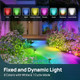 Linkind RGB Halloween Solar Lights Outdoor & EL8 Smart LED Strip Lights RGB 10ft