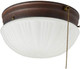 Westinghouse 6720200 Two-Light Flush-Mount Indoor Ceiling Fixture with Pull Chain Sienna Finish with Frosted Fluted Glass