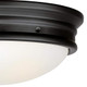 Westinghouse 6578100 Meadowbrook 13 inch Traditional Two-Light Flush Mount Outdoor Ceiling Light Fixture Matte Black Finish Frosted Glass