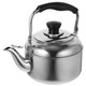 Doitool Stainless Steel Tea Kettle For Stove Top: Metal Teapot Water Kettle Water Tea Pots For Stove Top Camping Stove Gas Stove Water Kettle 2L