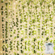 Kaszoo 84Ft 12 Pack Artificial Ivy Garland Fake Plants Vine Hanging Garland With Ce 80 Led String Light Hanging For Home Bedroom Garden Party Wedding Wall Room Decor Green