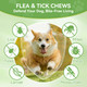 Choheel Dog Flea And Tick Chewables For Dogs 200Ct Natural Support Supplement Flea Supplement For Dogs Flea And Tick Chews For Dogs Puppies All Breeds & Sizes Digestive Health
