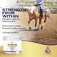 Equiessence Vital Amino Blend - Horse Care Coat & Hoof - Performance Horse - No Soy Or Sugar- 120 Day Supply