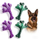 Frienhund Indestructible Tough Dog Toys For Aggressive Chewers - 2 Pack Beef Flavored Chew Bone For Large Dogs 20-90 Lbs Long Lasting & Keep Them Busy (Xl Cactus)
