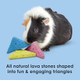 Kaytee Lava Bites Chew Toy For Chinchillas Hamsters And Gerbils 3 Pack