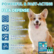 Lerqua Flea And Tick Prevention For Medium Dogs 6-Month Supply Dog Flea And Tick Treatment Drops Topical Fast-Acting Dog Treatment For Medium Dogs Up To 23 To 44 Lbs