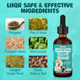 Lhqr Flea & Tick Support For Dogs And Cats Supports Healthy Skin Coat & Digestion Herbal Ingredients Suit For All Breeds And Sizes -Vanilla-2 Fl Oz