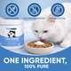 Memocore Kittysupps Taurine For Cats Kitty Supps Taurine Supplement - Pure Taurine Promoting Vision Energy Vitality And Skin & Coat Wellness Easy Mix In Food With Dosing Spoon 200G (1)