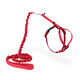 Petsafe Come With Me Kitty Harness And Bungee Leash Medium Red