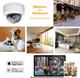 5MP PoE IP Dome Security Camera, 2.8mm Wide Angle, H.265 IP66 Waterproof Built-in Micphone/Audio, Compatible with Hik Vision NVR, Not PTZ Camera