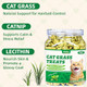 Wellix 13.05Oz Organic Cat Grass Treats With Catnip & Salmon - Healthy Cat Treats For Indoor Cats - Hairball Control & Digestive Support - Kittens Training Snacks For Teeth Cleaning