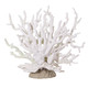 Xyembu Fish Tank Fake Coral Artificial Aquarium Coral Ornament Aquarium Decor Plastic Plant Small Multi-Purpose Simulation Water Grass Faux Aquariums Ornament