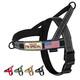 Annchwool No Pull Dog Harness With Padded Handle+5 Ft LeashEscape Proof And Quick Fit To Adjust Dog HarnessEasy For Training Walking For Small & Medium And Large Dogs(Camo Purple SetL)