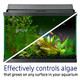 Aqueon Fish Tank Aquarium Algae Remover 4 Oz
