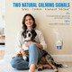 Aypend Dog Pheromones Calming Diffuser With Dap Anxiety Relief For Dogs Reduces Stress Barking Fighting & Destructive Behavior Safe For All Breeds & Ages 60 Day Supply