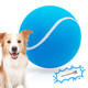 Banfeng Big Tennis Ball For Dogs Giant Dog Tennis Ball Toy Large Outdoor Sports For Small Medium Large Dog (Yellow 9.5 Inch)