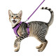 Bayfun Cat Harness And Leash SetEscape Proof Adjustable Cat HarnessSoft And Breathable Kitten Harness And Leash With Reflective Strips For Walking And Traveling(BlackS)