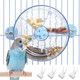 Bnosdm Bird Foraging Toy Creative Feeder Systems With Seed Food Rotating Wheel For Enrichment & Training Parrot Puzzle Toys Ideal For Small And Medium Cockatiel Parakeet Conure(Blue)