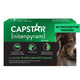 Capstar For Dogs (Nitenpyram) Fast-Acting Oral Flea Treatment For Dogs Over 25+ Lbs Vet-Recommended Flea Medication Tablets Start Killing In 30 Minutes 12 Doses (Includes Two 6-Count Boxes)