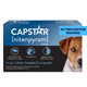 Capstar For Dogs (Nitenpyram) Fast-Acting Oral Flea Treatment For Dogs Over 25+ Lbs Vet-Recommended Flea Medication Tablets Start Killing In 30 Minutes 12 Doses (Includes Two 6-Count Boxes)