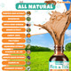 Carmelie Flea And Tick Support For Cats Natural Cat Flea Liquid Drops Flea & Tick Supplement With Vitamins & Fish Oil For Cats - All Breeds Kittens To Senior Cat - Chicken Flavor